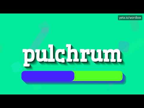 PULCHRUM - HOW TO PRONOUNCE IT!?