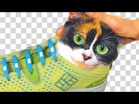 6 Lifehacks aus China