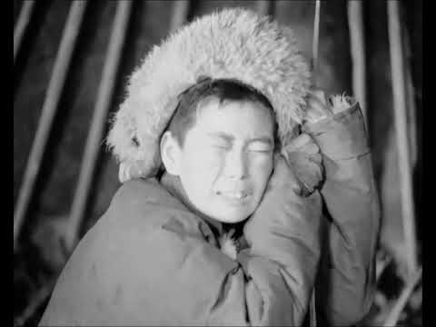 Аймшиггүй эх оронч /1942/