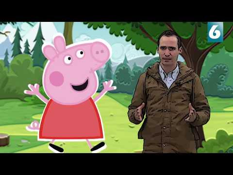 Carreteras de los altos, caricaturas en doble sentido, pésimas casas de INFONAVIT y más