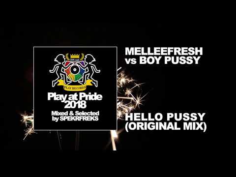 Melleefresh vs Boy Pussy / Hello Pussy (Original Mix)