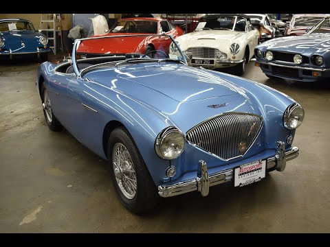 1955 Austin-Healey 100-4 BN2 (CC-1447442) for sale in Huntington Station, New York