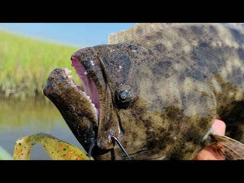 How To Catch Flounder In The Summer (Inshore & Nearshore)