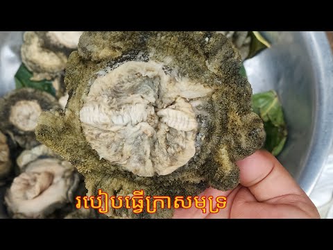 វិធីធ្វើក្រាសមុទ្រ-How to make sea urchin