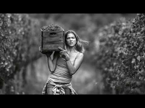 Ecco il nuovo spot di Tavernello