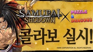 [퍼즈도라 토크] 정정당당히 승부! 사무라이 쇼다운 콜라보를 알아보자