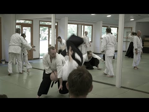 Aikido: Stephane Goffin Balaton 2016