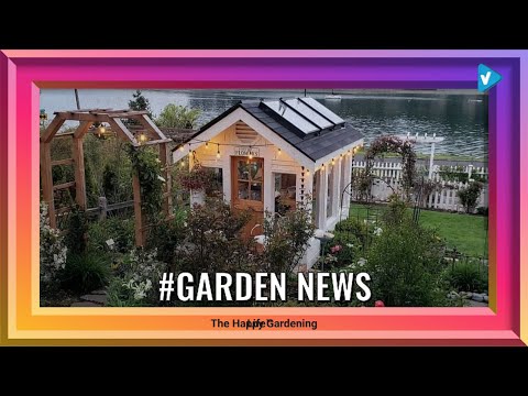 download lagu mp3 mp4 Happy Gardening Quotes, download lagu Happy Gardening Quotes gratis, unduh video klip Happy Gardening Quotes