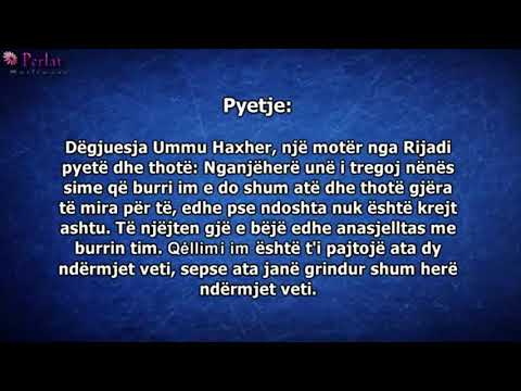 Gënjeshtra, me qëllim të pajtimit - Bin Baz