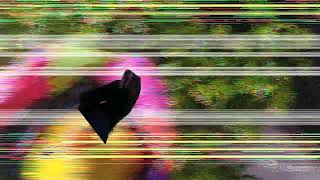 La muerte chiquita (especial de día de muertos)