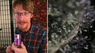 HighIQ S01E01 PART 1 Medical Cannabis Under High Power Microscope in 1080HD