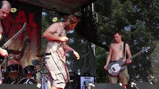 Video CARNAL DIAFRAGMA - Cadmia Fosilis + Po dvou deci vínka už jí svr