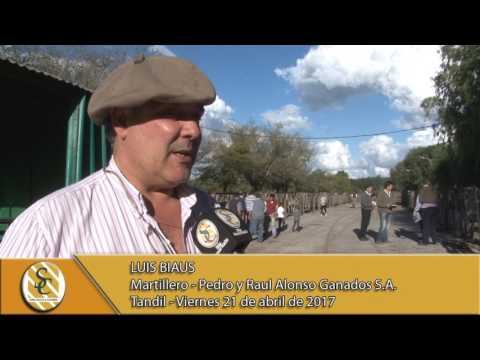 21-04-17 Nota Luis Biaus - Pedro y Raul Alonso Ganados S.A. - Tandil.