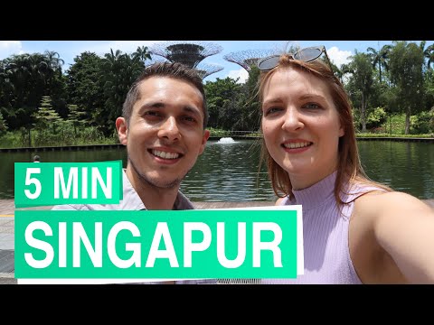 Singapur in 5 Minuten 🌳🦎 Weltstadt in den Tropen