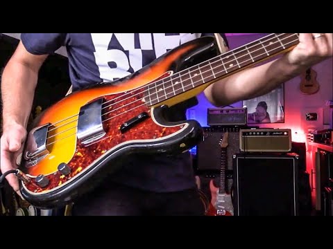 Do this workout every night to get shredded!!