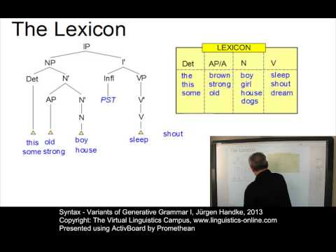 SYN110 - Variants of Generative Grammar I