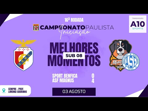 SPORT BENFICA 0 x 4 MAGNUS - CAMPEONATO PAULISTA - SUB 08 | MELHORES MOMENTOS