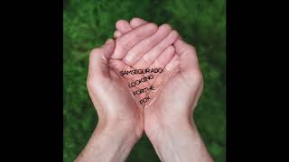 Sam Segurado HOPING HIGH