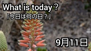 【What is today?】今日は何の日?(0911)|YouTube掲示板《ヒントストック》