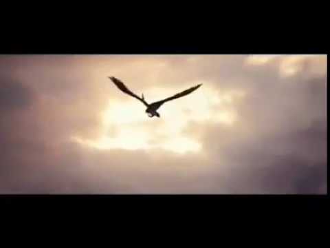 Cinder Road - Dreams