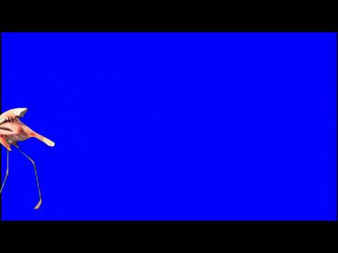 Animal Parade Blue Screen