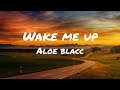 Aloe Blacc Wake Me Up Lyrics