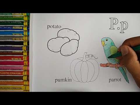 Coloring parrot, Pumpkin and potatoes of the letter " P "