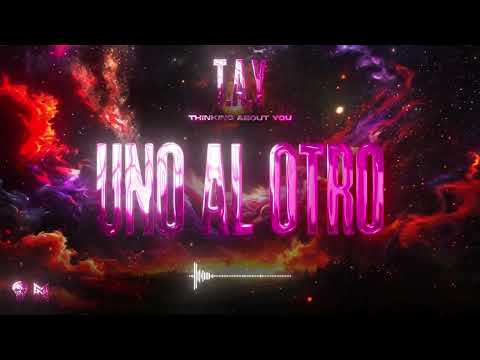 Anubiis - Uno al Otro x @andrahpr (Visualizer) | TAY [Thinking About You]