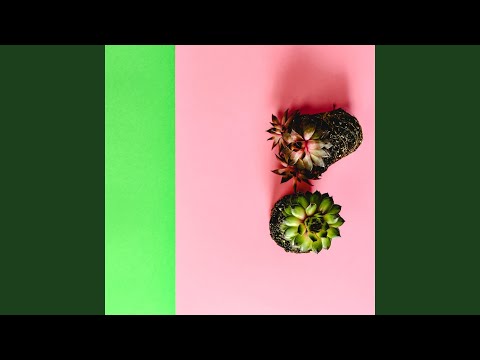 Composed Brown Cool Sound