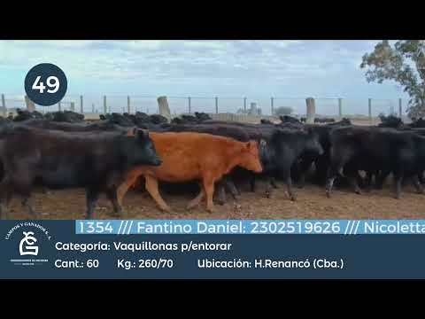 Lote VQ p/ Entorar - H. Renanco Córdoba