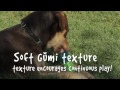 Видео о товаре Игрушки Gumi Chew & Clean для ухода за полостью рта  / Hagen (Германия)