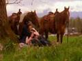 Smallville - Clark and Lana - The Best of Me