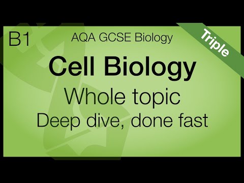 AQA GCSE Biology - Cell Biology | Whole Topic | Triple Science