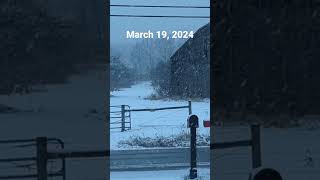 Last week we were in shorts 😂 #earlyspring #snow #fingerlakes #ohno #cabinfever #shorts