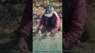 Download lagu Proses pengkavlingan di Selokaton,Gondangrejo,Karanganyar #proyek mp3