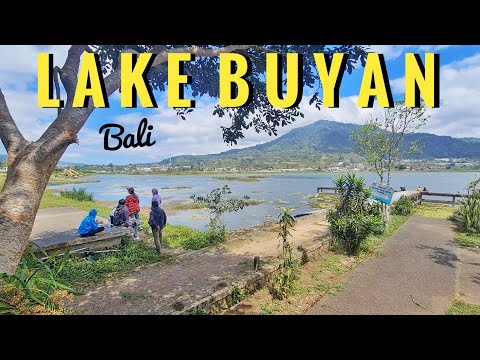 Lake Buyan Camping Ground | Danau Buyan Bali