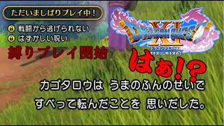 恥ずかしい呪いを付けて縛りプレイでやっていく 【ドラゴンクエスト11】PART3