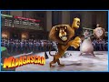 DreamWorks Madagascar It S Me Alex From The Zoo Madagascar Movie Clip