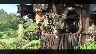 Download lagu Lapangan Golf Mini by Rumah Akar di Tanjung Barulak mp3 Download lagu Lapangan Golf Mini by Rumah Akar di Tanjung Barulak mp3