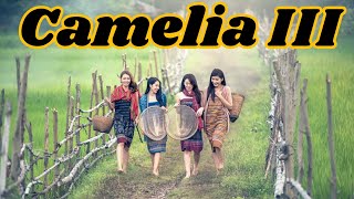 Download lagu Lagu Kenangan: 'Camelia III' (Ebiet G Ade) mp3 Download lagu Lagu Kenangan: 'Camelia III' (Ebiet G Ade) mp3