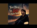 Tere Bina Ye Dil Lagta Nahi