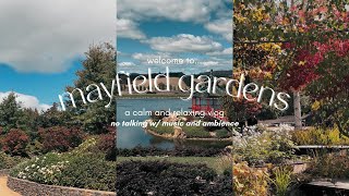 AUTUMN TRIP 🍂 | MAYFIELD GARDENS: ghibli views, nature, and more!