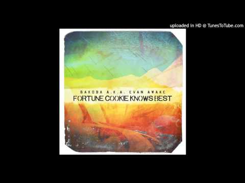 Bakoda a.k.a. Evan Awake - And Counting