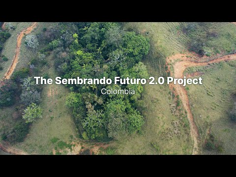 Thumbnail for Reviving Colombia's Native Forests: A Biodiversity Restoration Partnership | Terraformation Projects by Colombia