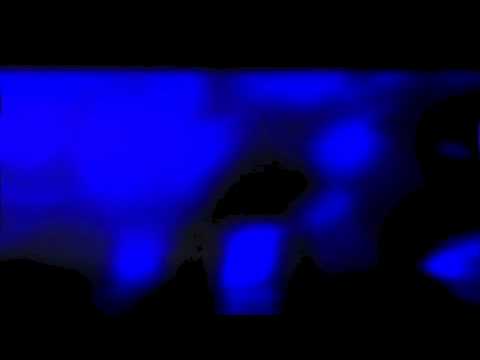 Tribute to Tony Bennett   Dolls Combers   The way you look tonight  JayDee inndub revisited Mix