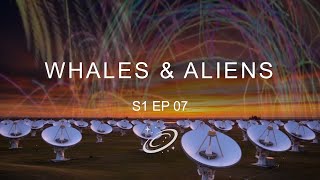 Whales & Aliens S1 Ep 07