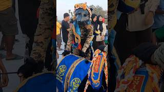Download lagu UNIMAR AMNI SEMARANG. #shorts #drumband #drumcorps mp3