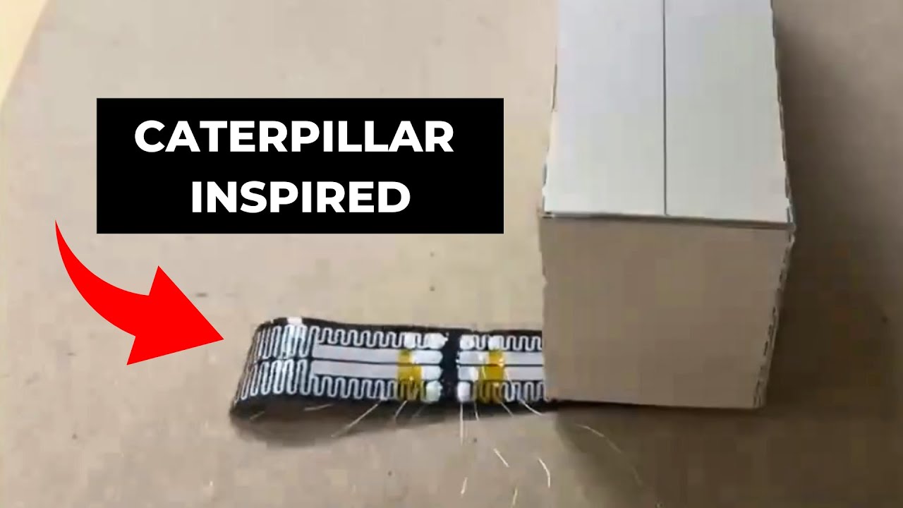 Caterpillar Like Soft Robot Can Squeeze Through Narrow Gaps