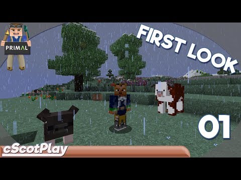 Primal w/ cScot – First Look