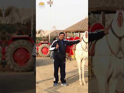 MST Farm & Resort – Best Event & Holiday Destination in Delhi NCR!